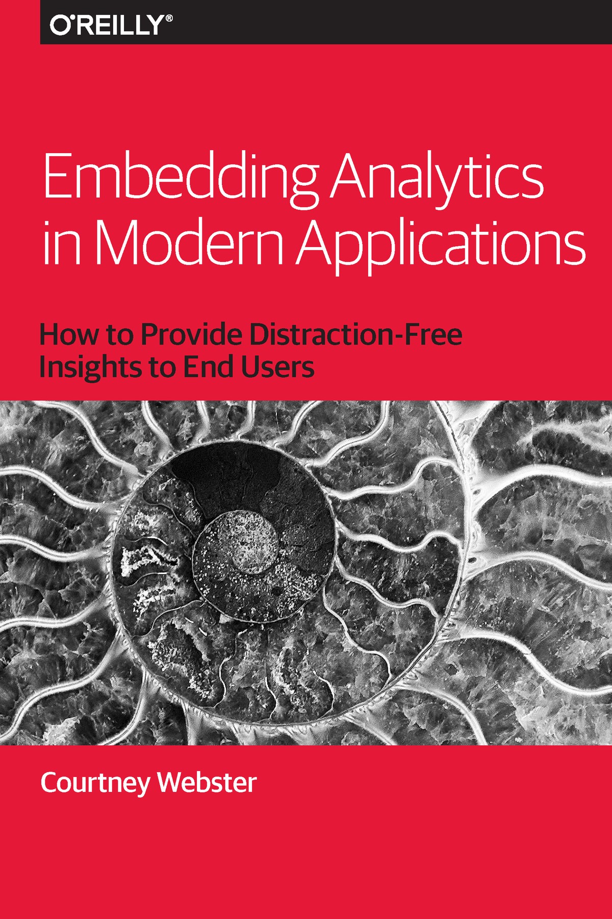 Embedding Analytics in Modern Applications