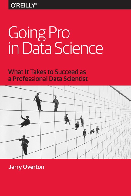 Going Pro in Data Science