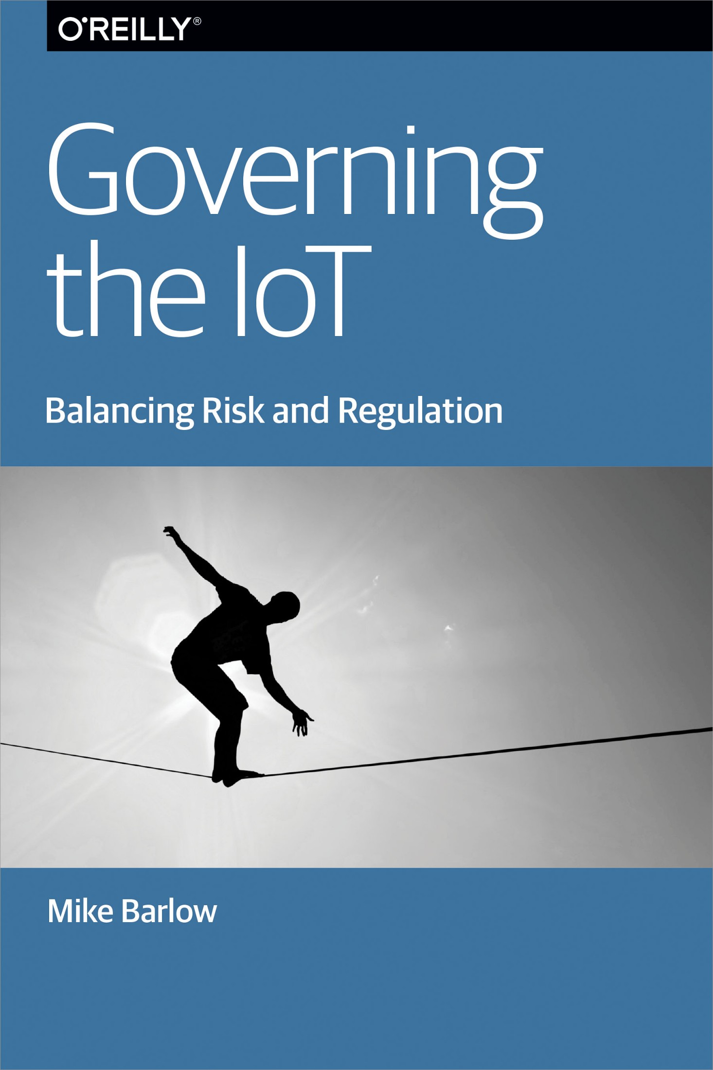 Governing the IoT