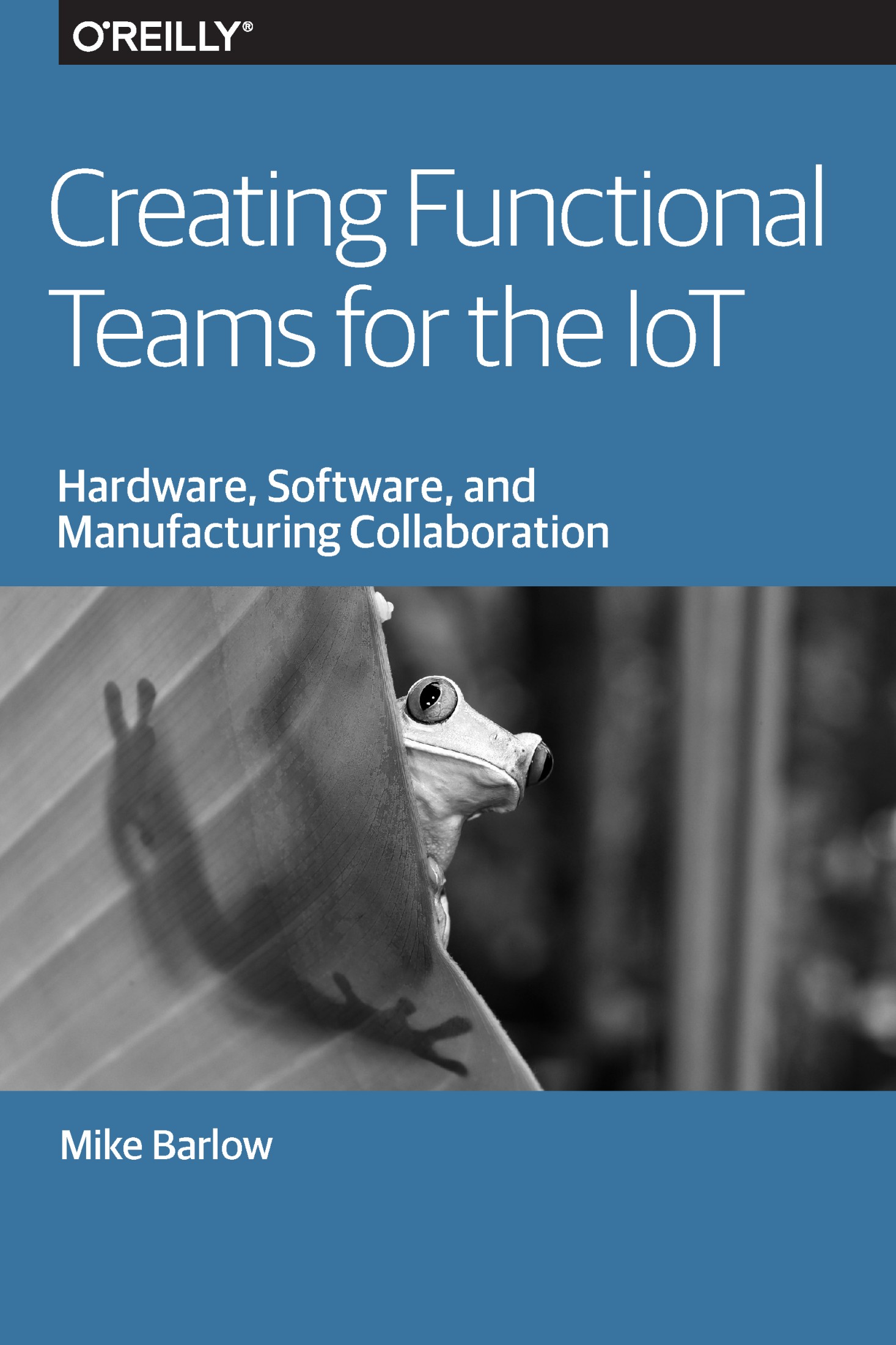 Creating Functional Teams for the IoT