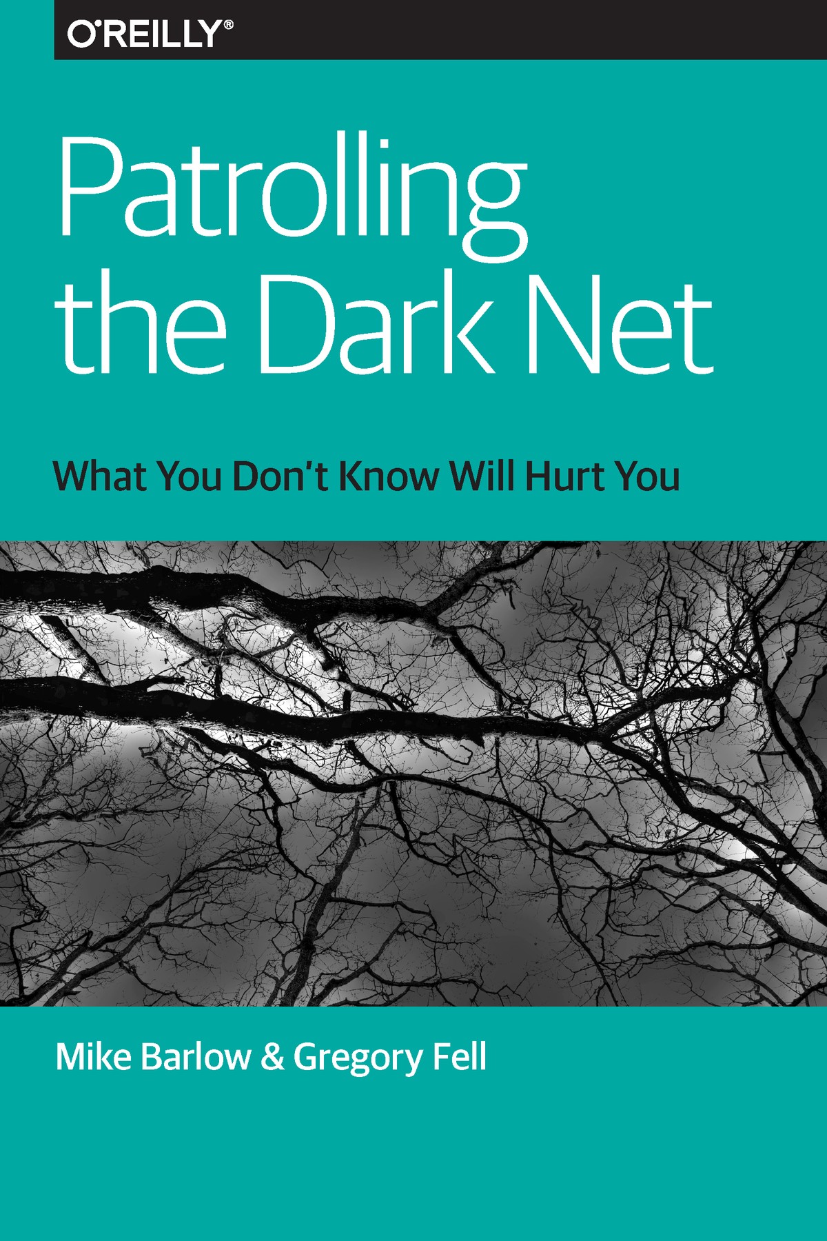 Patrolling the Dark Net