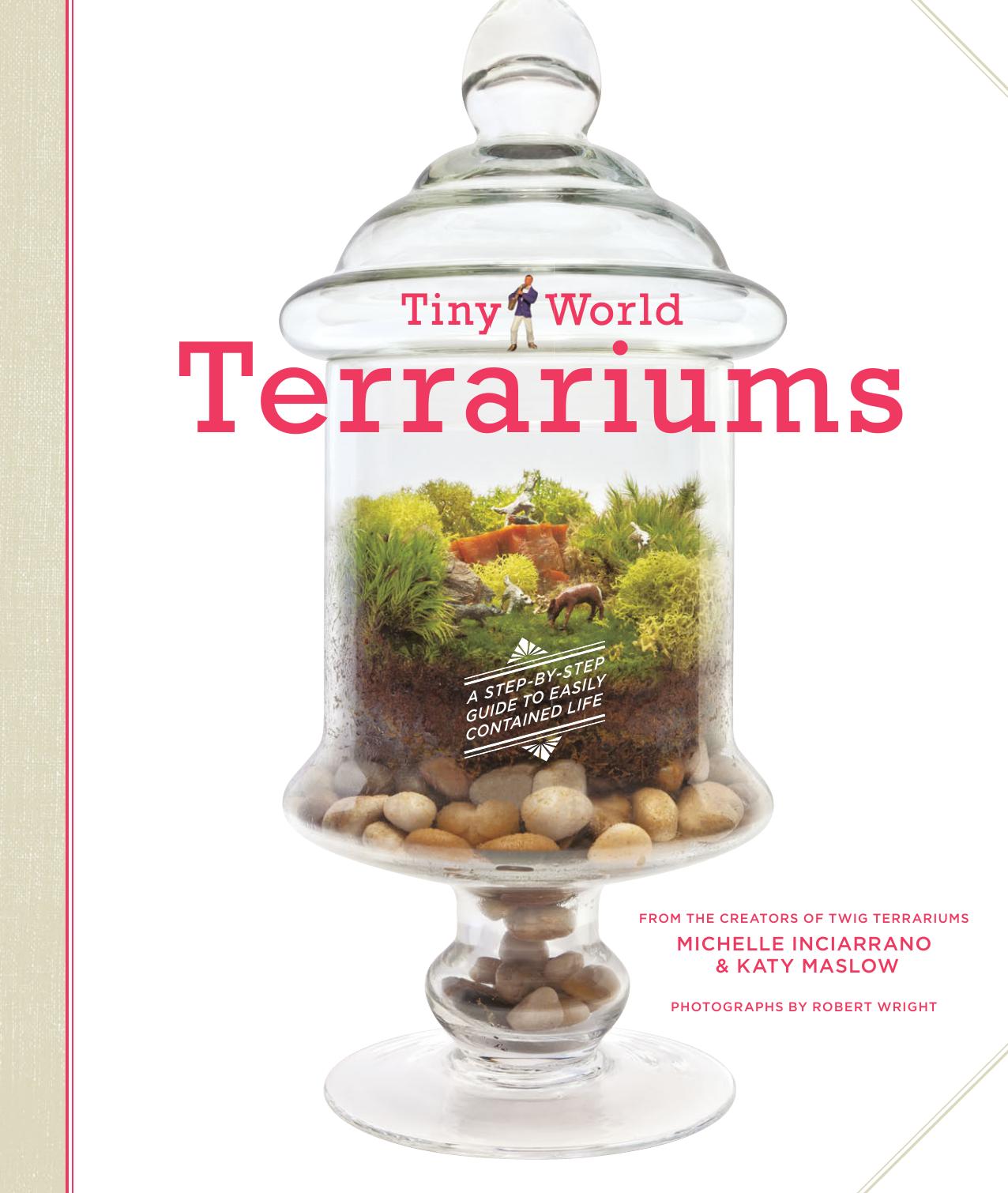 Tiny World Terrariums: A Step-By-Step Guide to Easily Contained Life