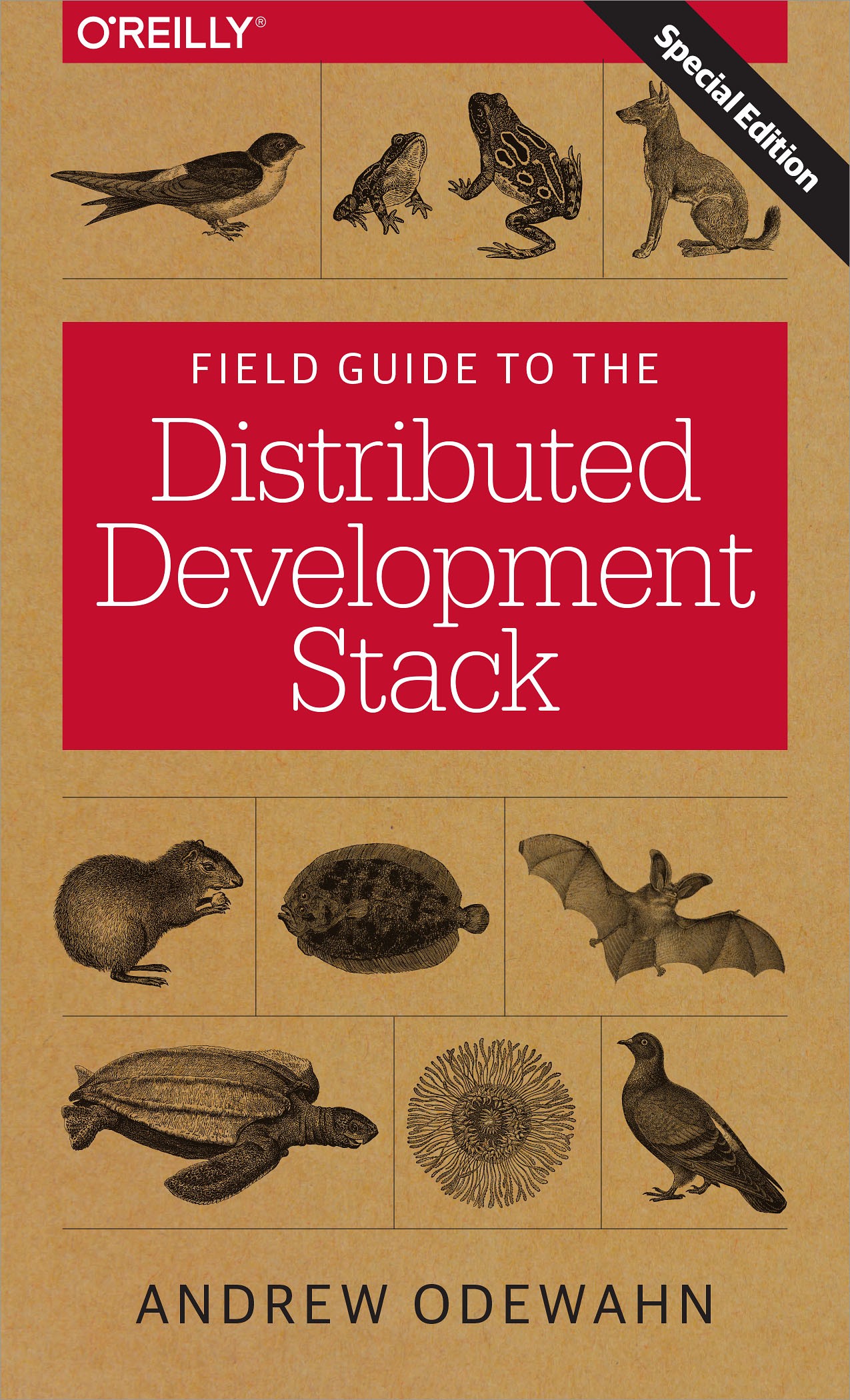 A Field Guide to the Distributed Development Stack